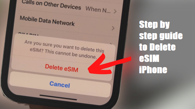 Delete eSIM iPhone
